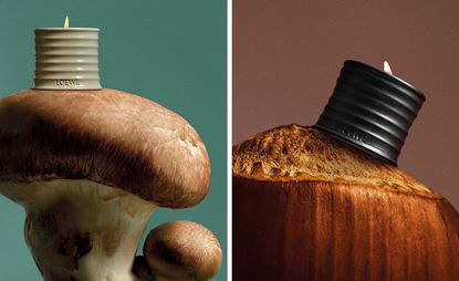 Loewe mushroom and roasted hazelnut scented candles